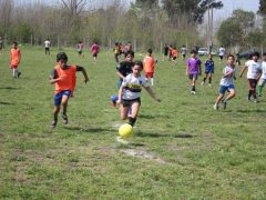 CREACION AGENCIA NACIONAL DEL DEPORTE